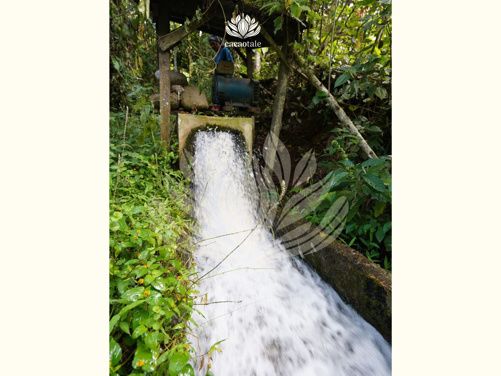 Hydropower of Mapahi