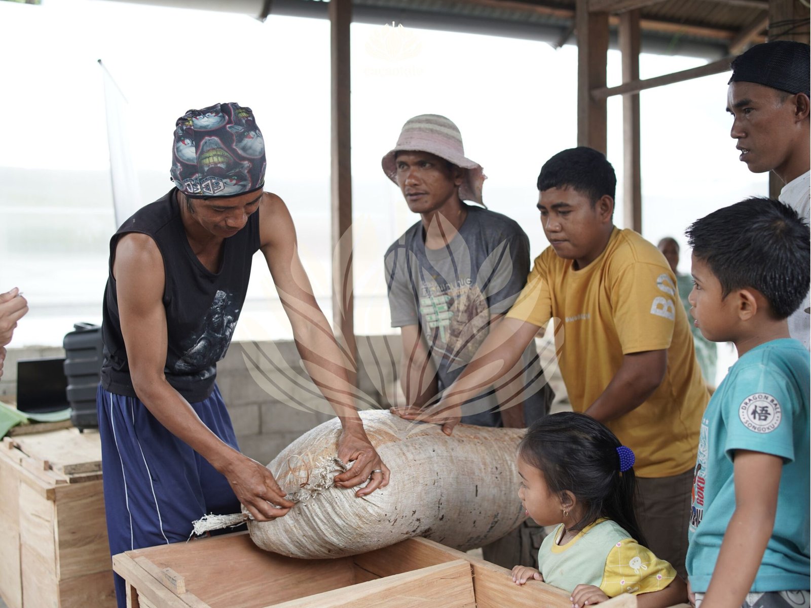 Opening the Treasure of Cacao