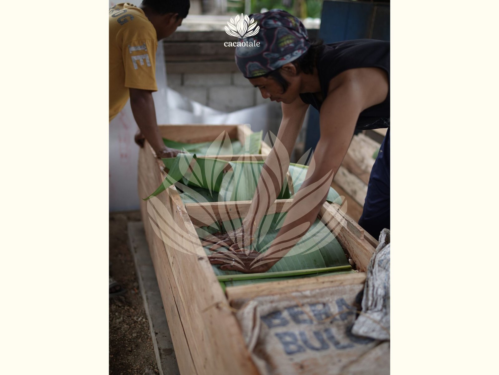The Heart of Fermentation